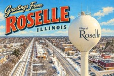 Greetings From Roselle, Illinois Modern Postcard 4x6 E277 picture