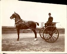 GA112 Original Photo HORSE ND BUGGY Handsome Driver Elegant Animal Tail Cropped picture