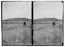 Photo:Beth Shemesh Sharon Plain Israel Excavations Mound 1900s Stereo View picture
