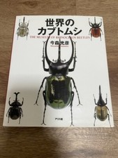 World Beetle THE MUSEUM OF RHINOCEROS BEETLES Mitsuhiko Imamori picture