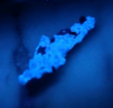 Benitoite Gem Quality With Neptunite- Ultra Rare picture