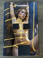 Waifu Chronicles 1 Lasso Wonder Woman Cosplay (NUDE) NM+ MUST SEE ART picture