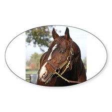 CafePress A.P. INDY Oval Bumper Sticker, Euro Oval Car Decal (551474119) picture