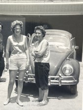 Late 1950s Volkswagen Beetle Bug Photo picture