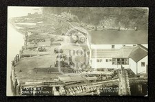 Rare RPPC Lumber Mill. Oak Point, Washington. C 1910 Cowlitz Co. Columbia River picture