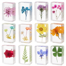 12 Pcs Real Pressed Flower Resin Paperweights - Botanical Specimen Collection fo picture