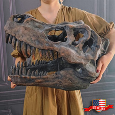 20 inch Giant T-Rex Skull Wall Mount Statue Dinosaur Fossil Head Trophy Decor picture