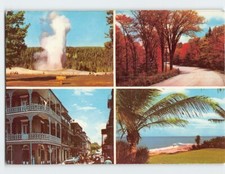 Postcard Scenes & Views in USA picture