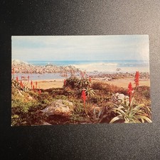 Red Aloe Shore Line Landscape Pacific Grove California USA Postcard picture