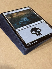 SWAMPS 24 NM MTG Swamps Basic Lands 2025 Magic the Gathering picture