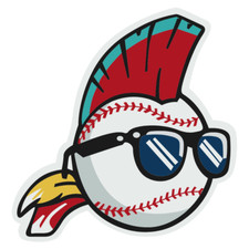 Wild Thing Logo sticker Classic Baseball window laptop bumper vinyl decal picture