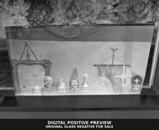 Antique Glass Negative White Rose Castle 182 Knights Golden Eagle York PA picture