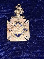 Vintage Modern Woodman Of America Medal  picture
