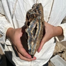 4.1lb Natural Lace Banded stripe Agate Quartz Crystal Rough mineral specimen picture