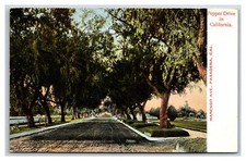 Central Park and Hotel Green Pasadena CA California UNP DB Postcard P16 picture