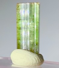 Beautiful Unique Neon Green Purple Cap Tourmaline Crystal Natural Raw Specimen picture