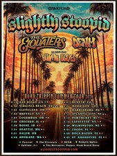 SLIGHTLY STOOPID THE ELOVATERS DENM Road Trippin' Tour 2026 POSTER FRAME OPTION picture