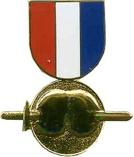 Pain In The Ass Medal Large Pin picture