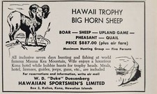 1961 Print Ad Hawaii Trophy Big Horn Sheep,Boar,Pheasant Hunting Kona picture