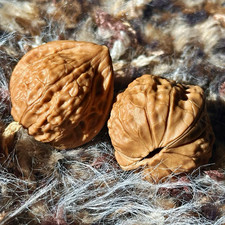Chinese natural Wenwan Walnut , special Tortoise Shell Pattern , Lot of 2 picture