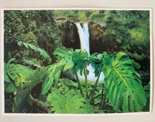 Rainbow Falls Wailuku Hawaii Impact Photo Prints 1976 Postcard John Wagner 1970s picture