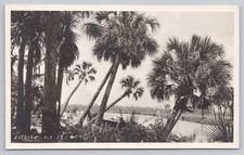 Postcard RPPC of a River from the Shoreline picture
