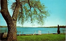 View of Beautiful Hemlock Lake Hemlock New York Vintage Postcard picture