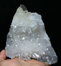 2.73lb Natural Beautiful White Chrysanthemum QUARTZ Crystal Cluster Specimen picture