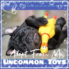 🌺 AĐ0PT (All Stuff FRM M3) Today 🌺 Cheap 💰 🌟Uncommon🌟 Toys ⚽️🧸 picture
