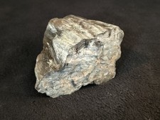 1lb 6oz Black Bark Petrified Wood Found In Northeastern Arizona picture