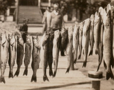 East Tawas Michigan Fish Family Straw Hat Dock Stamped 1929 RPPC Postcard picture