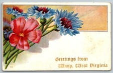 Rare Wasp West Virginia Greetings Postcard picture