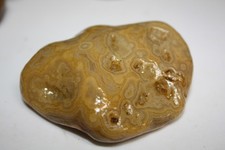 5pc Natural Agate Specimen Rock Tn Memphis Rough Raw picture