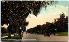 Postcard Scene on Orange Grove Avenue Millionaire's Row Pasadena California USA picture