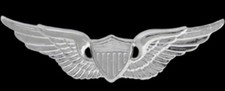 NS-301 Aviator Badge picture