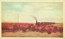 1961 PRINT CARD # 14, AMERICAN HERITAGE - V-61 picture