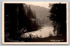RPPC Redwood Highway  Humboldt Park  California   Postcard picture