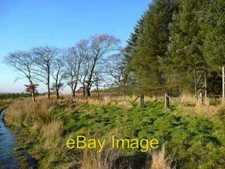 Photo 6x4 Obsolete deer-proof fencing Sorn Trees well grown and gate open c2007 picture