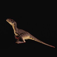 REBOR Velociraptor Couple GUNN Dinosaur Statue Model Display Male picture
