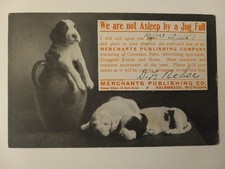 1909 Merchants Publishing Kalamazoo Postcard Michigan Chicago Illinois IL MI picture