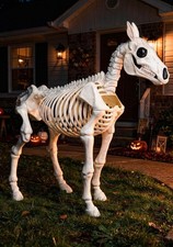 6FT Horse Skeleton Decoration picture
