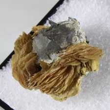 Rare ARGENTITE & BARITE - Jáchymov, Czech Republic (CSSR Label) picture