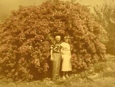 AwD) Found Photo Photograph 1950 Old Couple Posing Large Flowering Bush Artistic picture