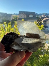 Phantom Selenite from La Platosa mine in Bermejillo Durango Mex 608 Grams picture