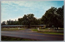 Pocotaligo SC Mixon's Motel US 17 21 Roadside c1959 Postcard picture