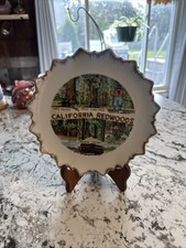 Vintage California Redwoods Souvenir Decorative Plate –Scalloped Edge & Gold Rim picture