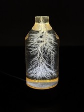 Lichtenberg Figure 2x3 Bottled Lightning with Engraving service- DM for specific picture