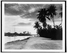 Photo:Miami River Florida Sunset 1900s Palm Trees Sailboats Riverbank picture