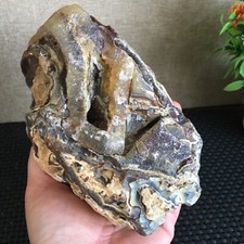 1165g Bonsai Suiseki-Natural Gobi Agate Eyes Stone-Rare Stunning Viewing fd144 picture