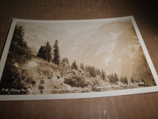 Sequoia National Park - Along the High Sierra Trail  photo postcard 1930's picture